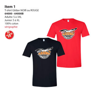 Item 01 École de la Passerelle T-Shirt Gildan 64000 64000B 2025